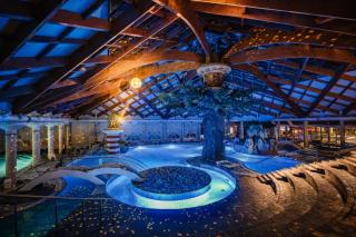 Mobile House Sweet Dreams - Terme Čatež - Brežice - 7