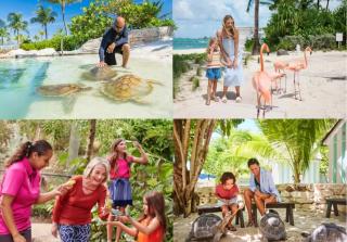 The Breezy Borough - 100ft to Paradise Next to Baha Mar 2BD 2BTH - 8