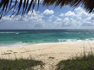 Condo w/Views, Beach, Htd Pool, Golf Cart, Kayaks, Gym, Pickleball Court! - Governorʼs Harbour - 9