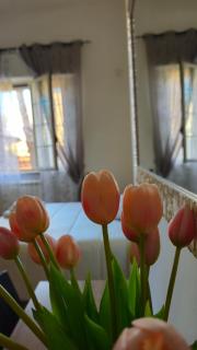 Dimora Sole del Sud - Ugento - 6