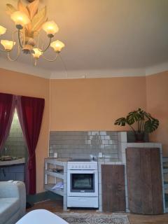 Singel room in big house - 5