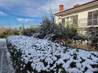 Apartman Meri Pula - 8