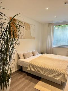 Modern Luxury Apartment - 5