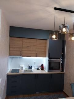 Skyline Apartment Zlatibor - 3