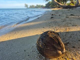 Studio Eimeo Piti - 1