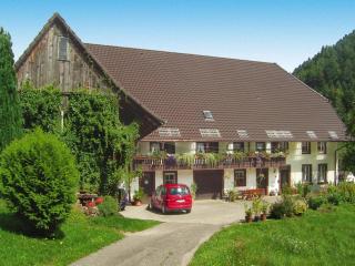 Holiday Home in Hornberg near Triberg Falls - 5