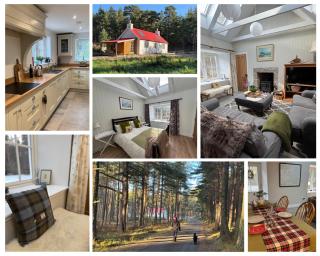 Cosy Highland Cottage in the Woods on Royal Deeside - 5