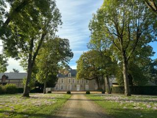 Château de Puchesse - Sandillon - 2