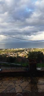 Olive and Thea apartment - 7