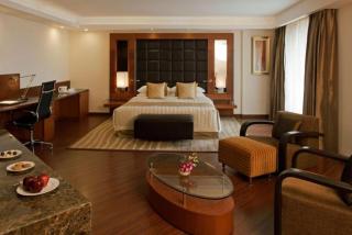 Hotel Lime Pride By GK Group Near IGI Delhi Airport - 5