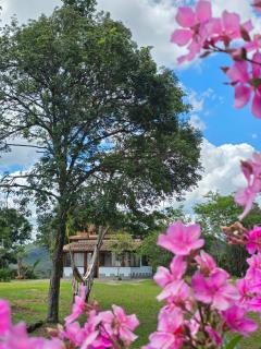 Casa das Hortênsias - 8