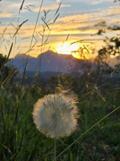 Casa das Hortênsias - 6