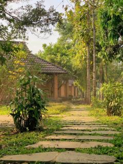 Quiet Bamboo Lodge 2 - 1