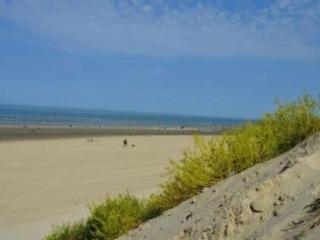 Appartement T3 centre de Stella - 4 pers. - FR-1-236-190 - Stella-Plage - 1