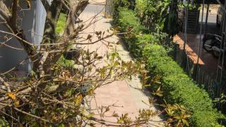 Hue garden homestay - 4