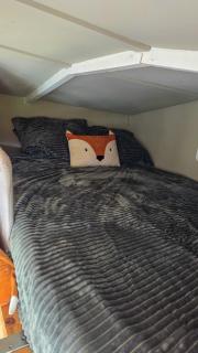 Tinyhouse op de Veluwe, het buitenleven - 2