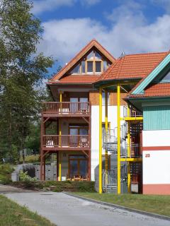 Apartment Lipno - Lipno nad Vltavou - 8