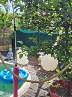 Chalet en bois accés piscine - 5