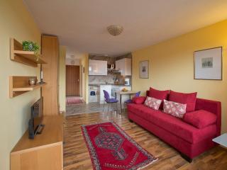 Rosenalm Appartment 208 - Scheidegg - 8