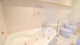 Montecarlo Vineyard - in a Tuscan Farm with Wi-Fi - Montecarlo - 8