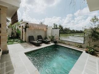 Bucu Carik Villa Ubud - 0