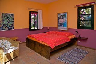 Casa Finca Avocado - Los Llanos de Aridane - 3