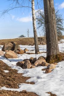 HIKARI Lake Villas - 3