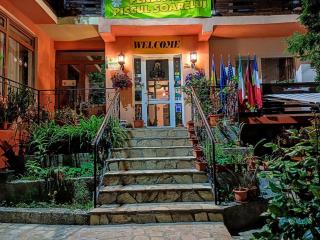 Pensiunea Agroturistică Piscul Soarelui - 9