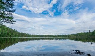 Apartementos Tohmajärvi - 1