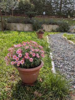 Il giardino segreto - 5