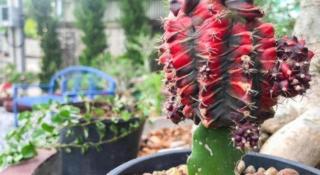 Delighted Bangkok Hotel - 6