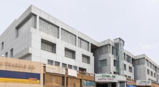 Palette - Silver Leaf - 7