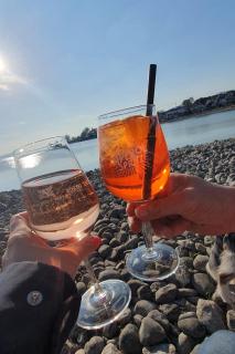 BodenseeLodge mit traumhafter Aussicht am See - 4