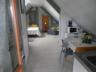 chambre d'hôte équipée en studio - 3
