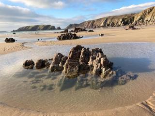 Priory Stream, Lower Priory, Pembrokeshire - 9
