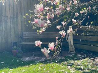 Priory Stream, Lower Priory, Pembrokeshire - 3