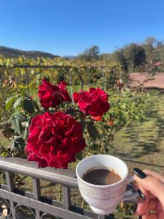 Stone Paradise at Skadar Lake - 9