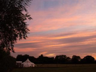 Stargazer Bell Tent - 4