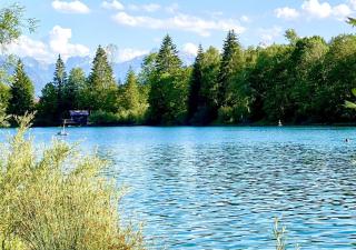 Ferienwohnung Pusteblume - 5