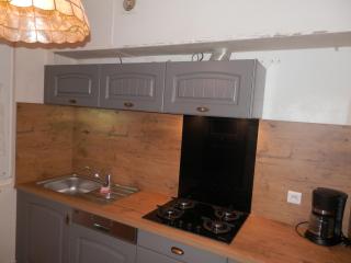 appartement au coeur de la région des lacs . - 1