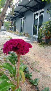 Phunara Guest House - 1