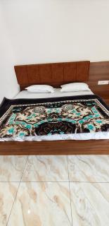 Hotel Bal Krishan Palace - 3