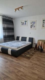 Apartament w Karkonoszach z widokiem na Zamek Chojnik - 3