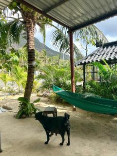 Private Entire Home - Premium Cozy Garden Oasis - 2