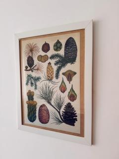 Casa Cocò - Appartamento al mare - 6