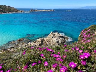 LA MAR Apartment Santa Teresa Gallura - 2