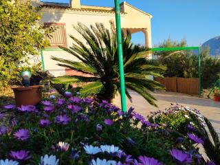 La Casa Maria - Pego - 5