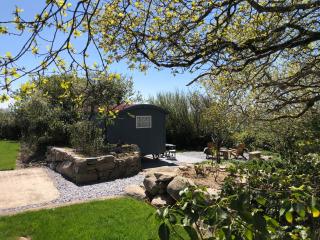 Bluebell Shepherd's Hut - 8