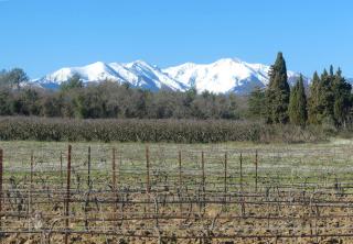 Gîte Caruso - Authenticité - Piscine - Climatisation - Vignes - 4