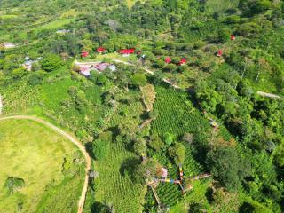 Finca Agroturística La María - 7